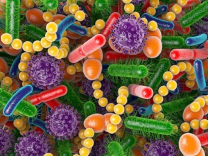 Fastenstudie Darmmikrobiom Fastenakademie 2022