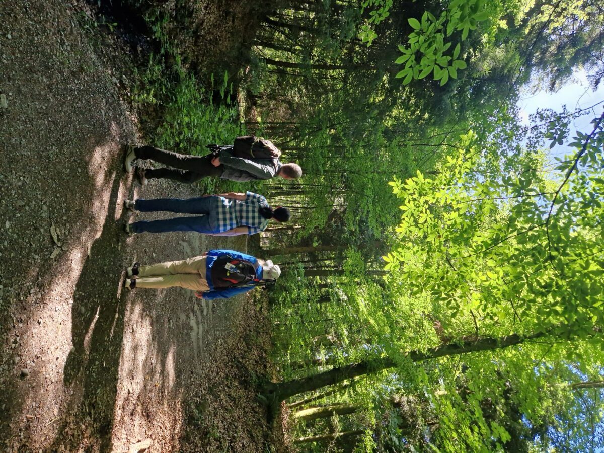 Fastenwandern im ruhigen Emmental – Bild 4