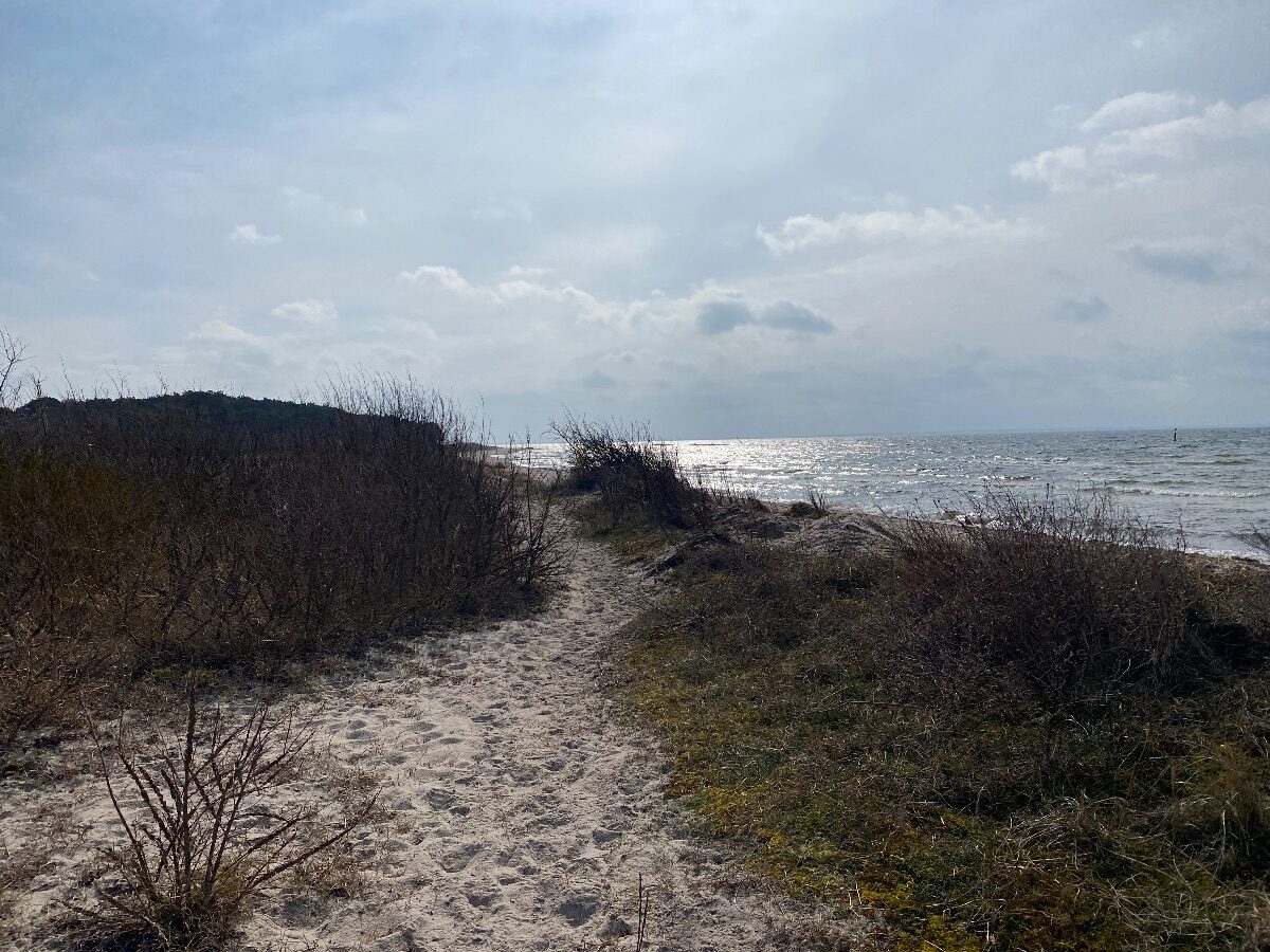 Leicht und vital in den Frühling – Basenfasten auf Rügen – Bild 12