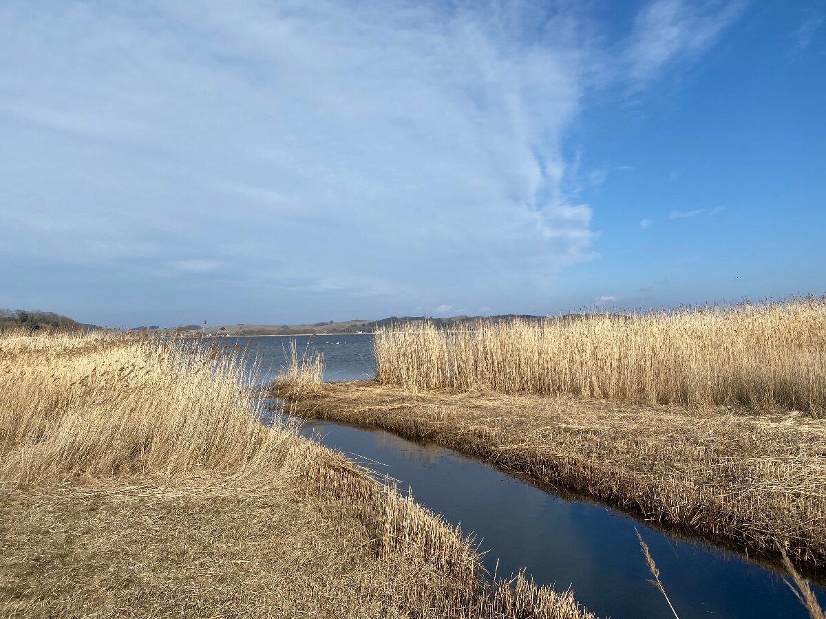 Leicht und vital in den Frühling – Basenfasten auf Rügen – Bild 13