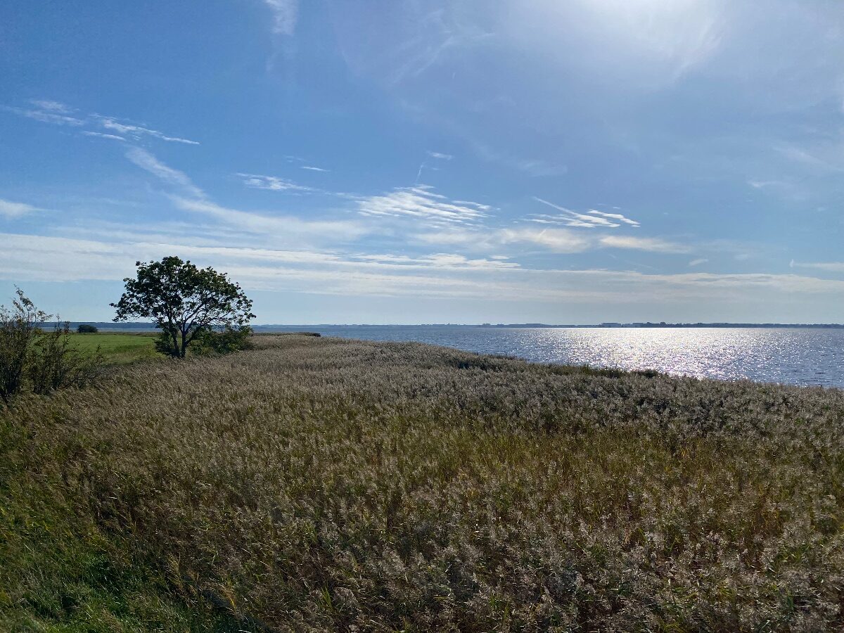 Leicht und vital in den Frühling – Basenfasten auf Rügen – Bild 1