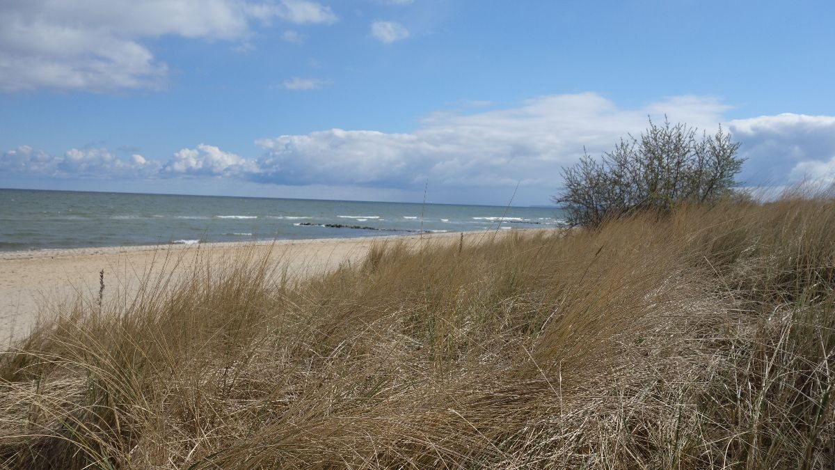 Wohlfühlfasten an der Ostsee – Bild 7