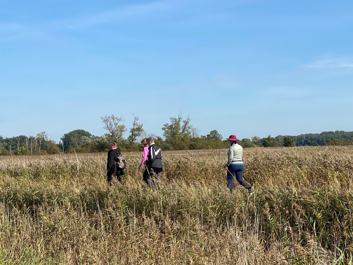 Dem Frühling entgegen – Fasten, Wandern und neue Kraft schöpfen – Bild 10