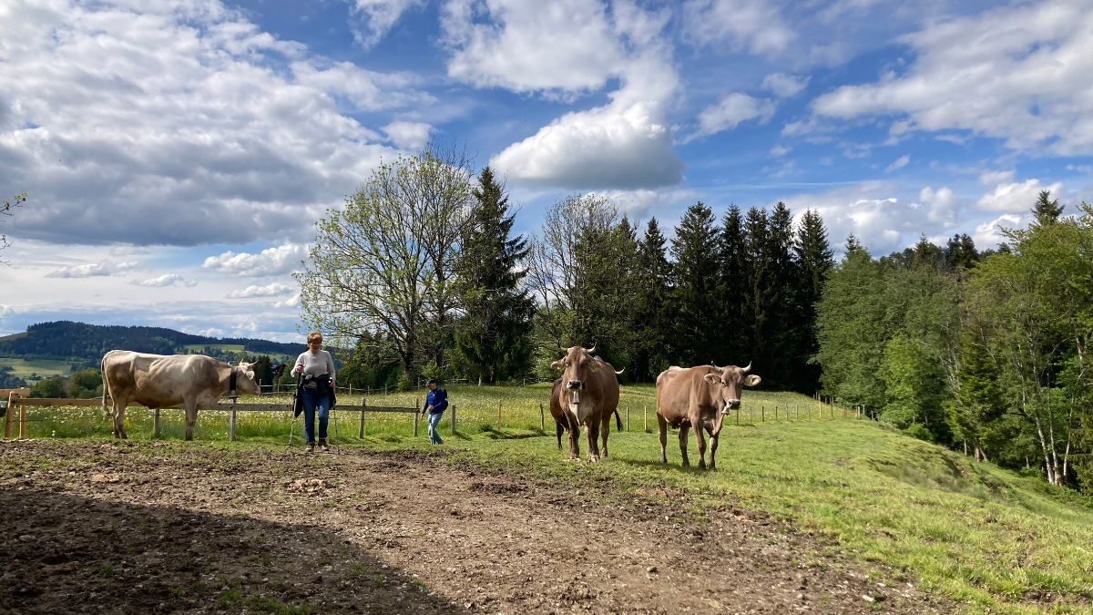 Fasten & Wandern im Allgäu – Bild 3