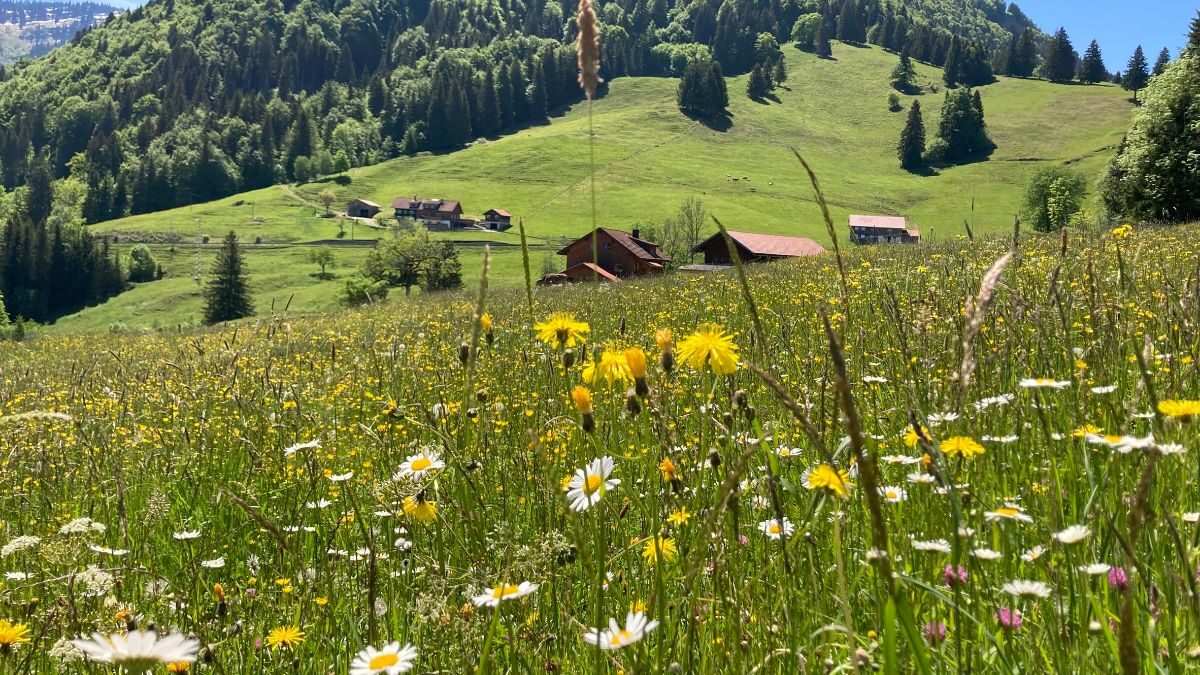 Fasten & Wandern im Allgäu – Bild 1