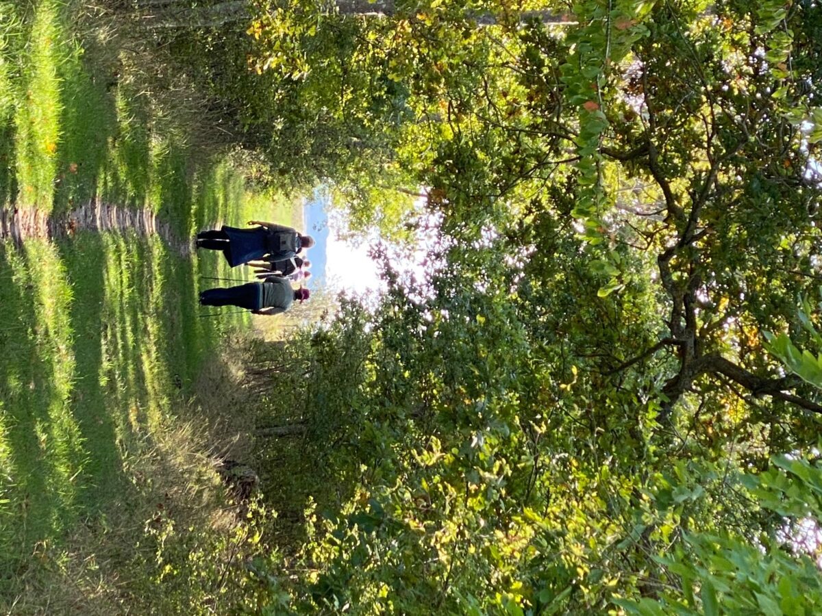 Dem Frühling entgegen – Fasten, Wandern und neue Kraft schöpfen – Bild 6